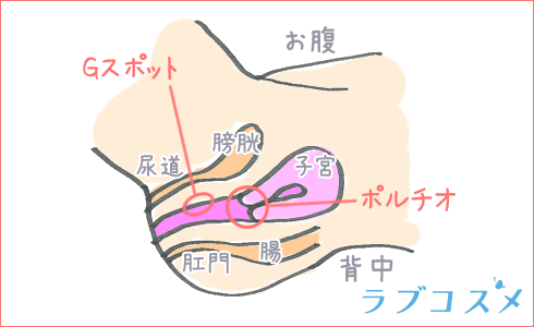 現役女子大生コレクション（池袋 デリヘル）｜デリヘルじゃぱん