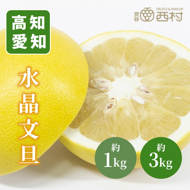 桜桃 さくらんぼ2023年12月の運勢 - 2023年12月の運勢 - 水晶玉子先生のフルーツ・フォーチュン 月運SPUR