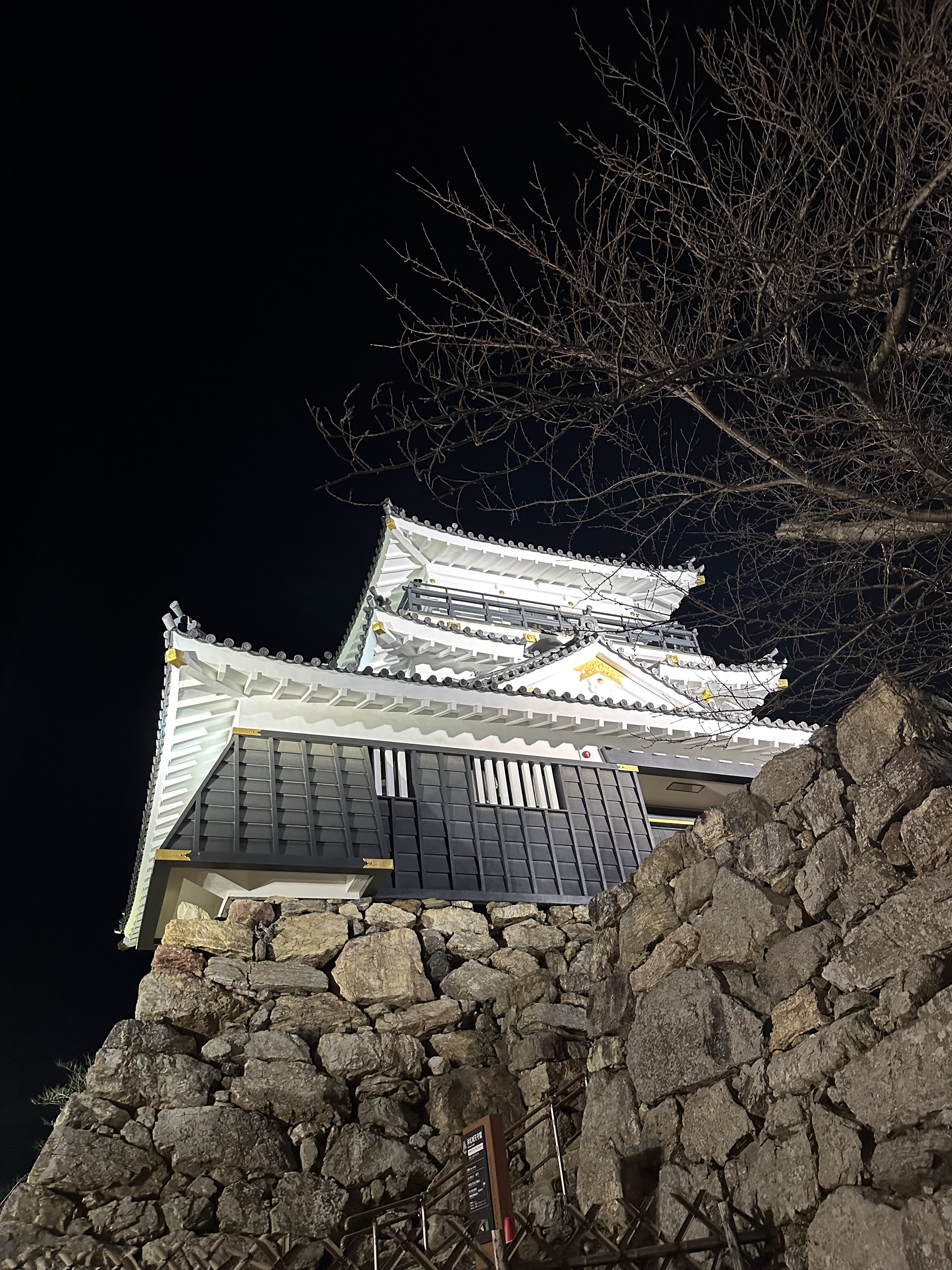 ナイトウォーク 鉄道廃線と浜松城 夜桜 / おっさんんさんの浜松市（中区・東区・南区・西区）の活動データ