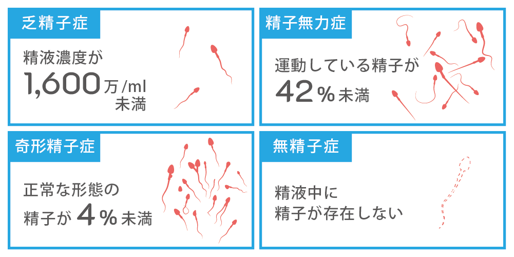 男性不妊について｜春木レディースクリニック