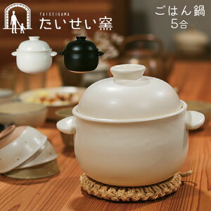 炊飯鍋 5合ガラス蓋 型番：RTR-500DRinnai Style リンナイスタイルリンナイ