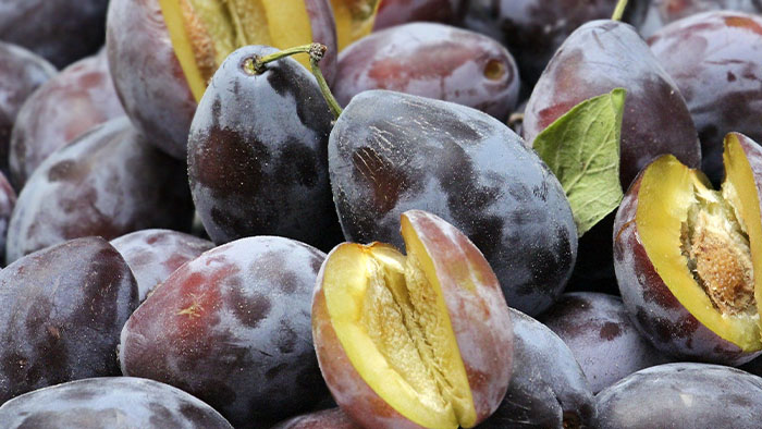 ９月のフルーツ 初秋の果物旬の食材百科