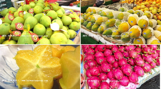 9月の果物 – フルーツギフト マルサン