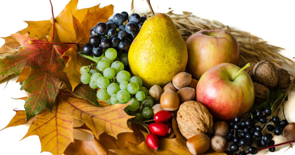 9月の新商品のご紹介