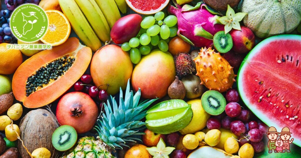 9月のおすすめ旬のフルーツ高級フルーツ・旬の果物なら北慶株式会社