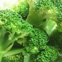 鶏むね肉のしっとり「蒸し鶏」「茹で鶏」基本レシピ味変できるアレンジ“たれ”も 料理家・新谷友里江さん1 1介護ポストセブン