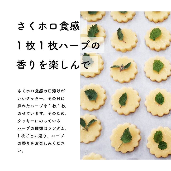 卵、乳製品を使わない 身体と自然に優しい食材を使ったレシピ本『菜食菓子店 増補版』1月発売株式会社グラフィック社のプレスリリース