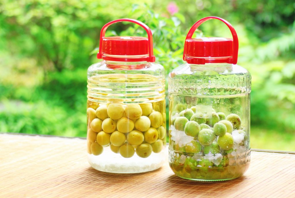 自家製梅酒の飲み頃が知りたい！ 梅酒の作り方とおすすめのおつまみをチェック中田食品株式会社