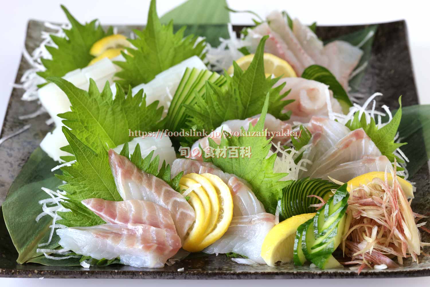 スズキの刺身のさばき方・切り方!洗い方や食べ方のおすすめも食生活研究所 -食☆ラボ