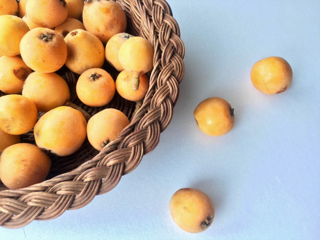 福原農園の無添加びわジャム 200g×3瓶 セット 1487224- 千葉県館山市ふるさとチョイス - ふるさと納税サイト