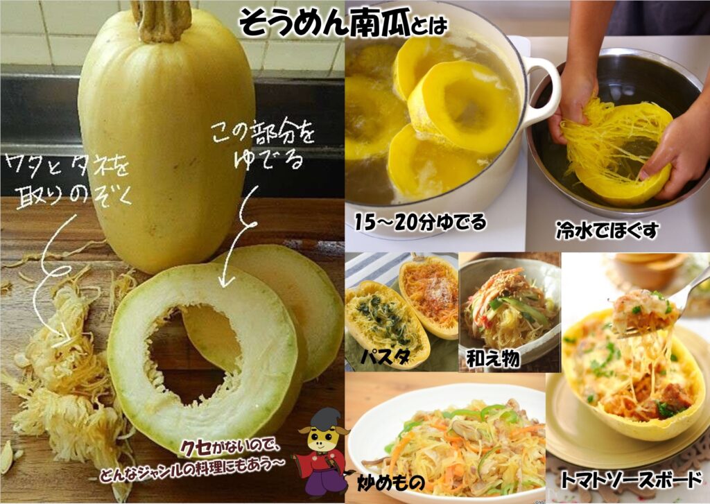 家庭菜園 初心者おすすめ！ そうめんカボチャ 金糸うり の育て方＜栽培中＞渡良瀬橋ブログ