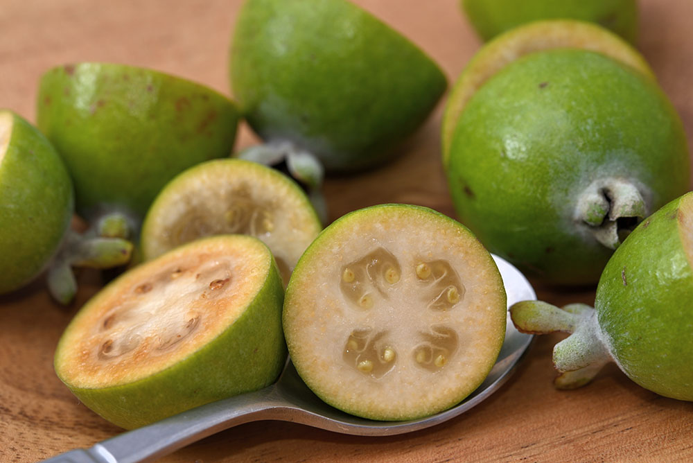 食べられる庭図鑑14 フェイジョア