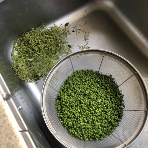 山椒佃煮酒蔵が教える！酒・みりん・粕・麹のレシピやお役立ち情報サイト白扇酒造