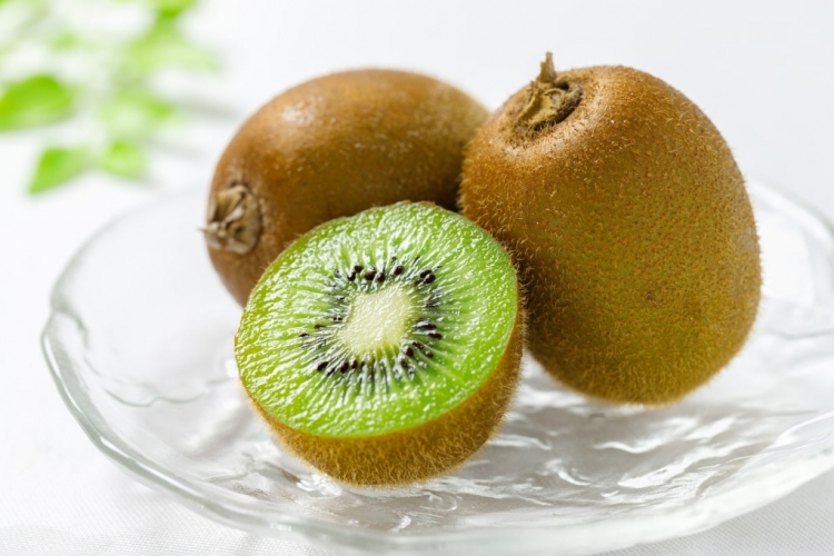 キウイの木の育て方 おいしい鉢植え果樹の栽培育て方:自宅を果樹園に☆