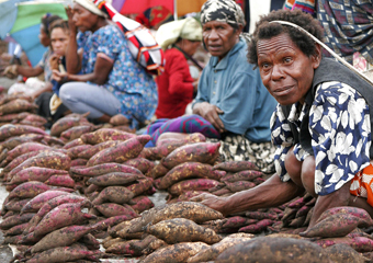 食材紹介 パプアニューギニア海産の海老。 : スパイスと薬膳と