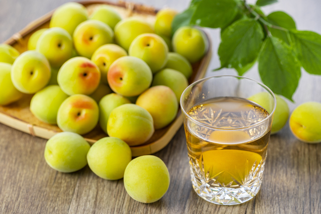 ✧鍛高譚 梅干しサワーの作り方✧ 今回はしそ焼酎「鍛高譚」を使った 梅干しサワーの作り方をご紹介! しそと梅はもちろん相性抜群✨一度は試していただきたい飲み方です♪ 梅干しは先に潰してから炭酸を注ぐのがポイント⚠ 皆さまもぜひ試してみてください