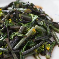 菜の花 の美味しい食べ方!驚くほど美味しくなる