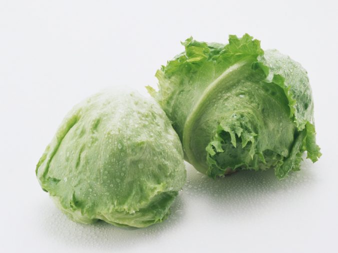 レタスの黒い斑点は食べても問題ない！？変色を防ぐ方法も紹介します – 野口ファーム