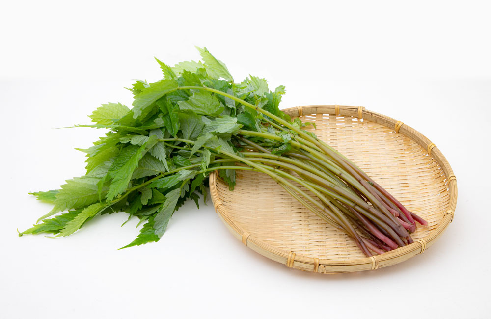 水菜の冷蔵＆冷凍保存方法！野菜ソムリエが解説 - macaroni