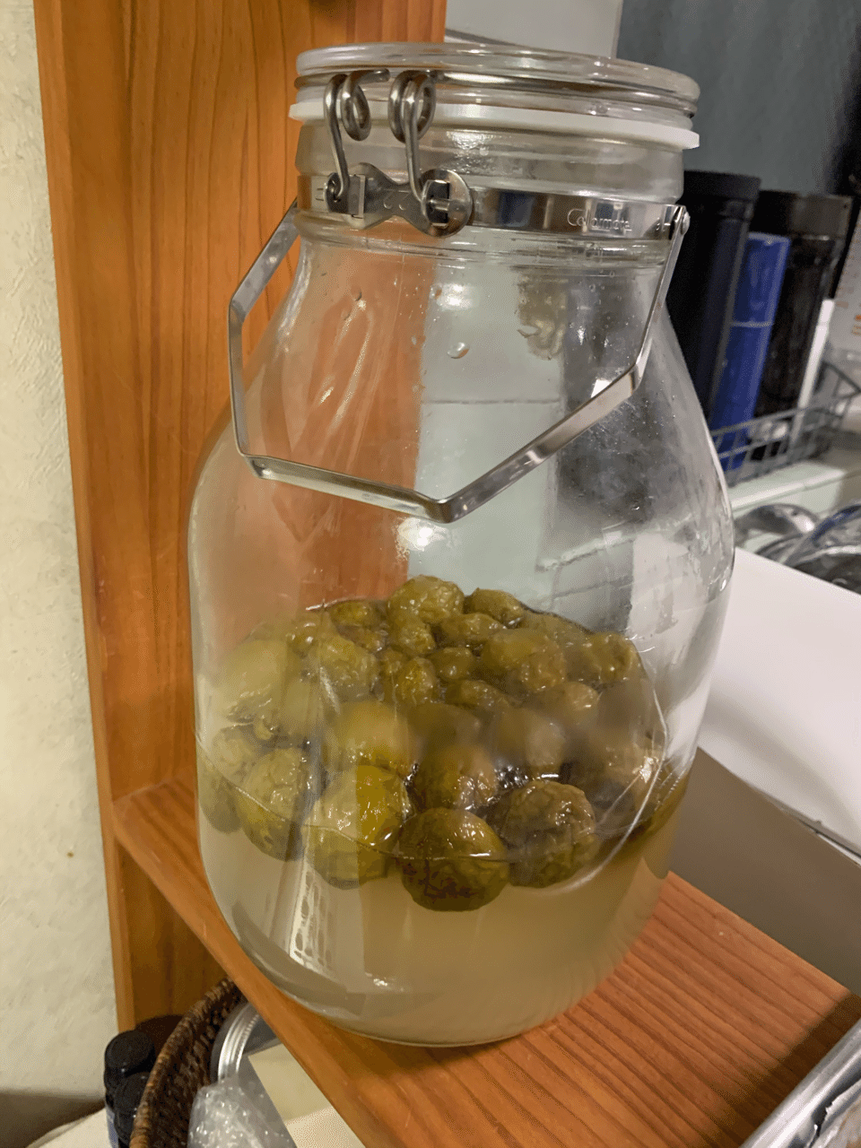 梅シロップ発酵したけど完成の巻ハッピーでラッキーな毎日