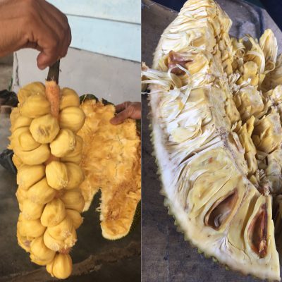 くっ臭い！ ジャックフルーツ - ねむねむごりちゃん