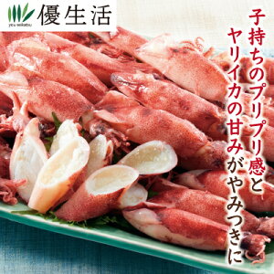 ボイルヤリイカ 生食用