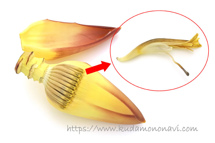 ついにできたハートや星の形をしたバナナが登場 世界中探してもこんなバナナはない温泉を利用してのバナナ苗の販売専門店 趣味のＴＩＧ溶接なども紹介