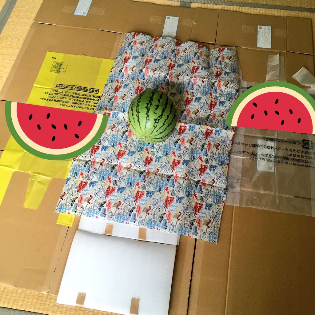 ピニャータでスイカ割りそめちんの雑記帳～そろばん長男とマイペース次男、3歳差兄弟育て中～