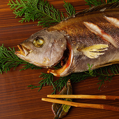 イサキは出世魚ではない！？イサキの呼び方や釣り方などを徹底解説釣りラボマガジン