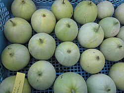 マクワウリ：元祖メロンの歴史と魅力