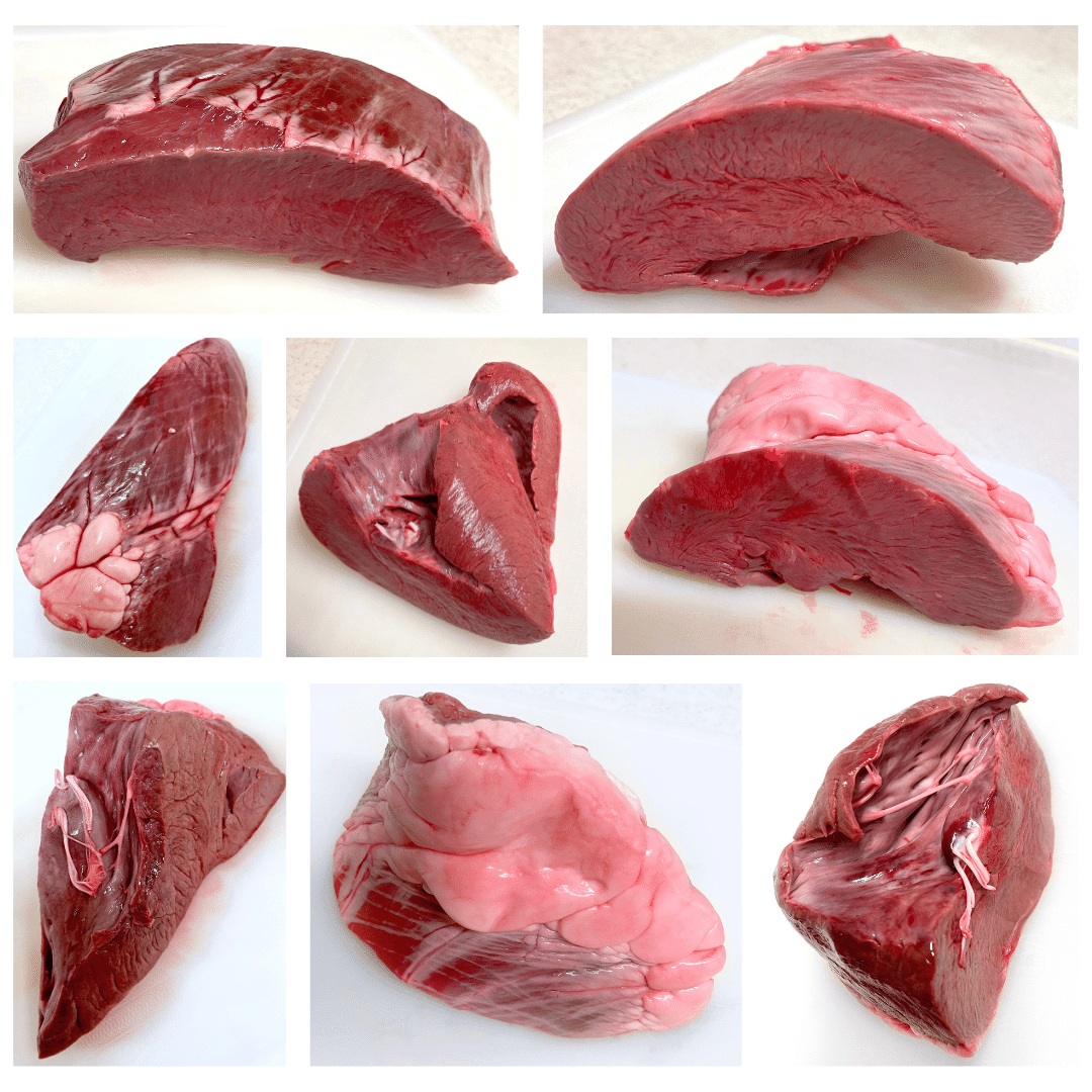 国産和牛ハツ 国産和牛ホルモン ハツ ハート ココロ国産和牛ホルモンの希少部位お取り寄せ・通販専門 焼肉 勝っちゃん