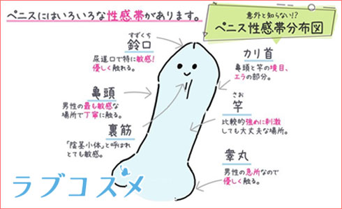 玉舐めってどうやるの？イラストでわかりやすく解説！ - バニラボ