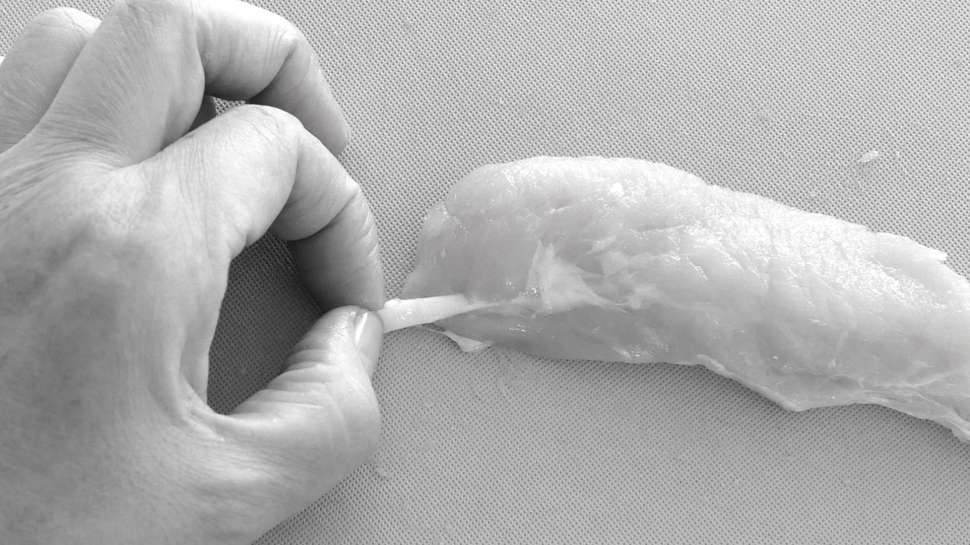 ささみ 筋 取り方 裏ワザ 割り箸TikTok