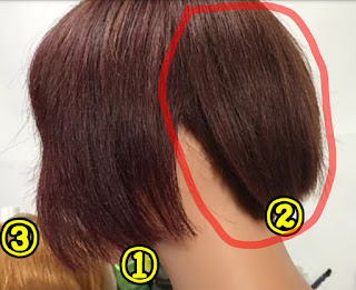 チョコレートブラウン・ショコラブラウンの髪色 18選 艶＆暖色が魅力のヘアカラー美的.com