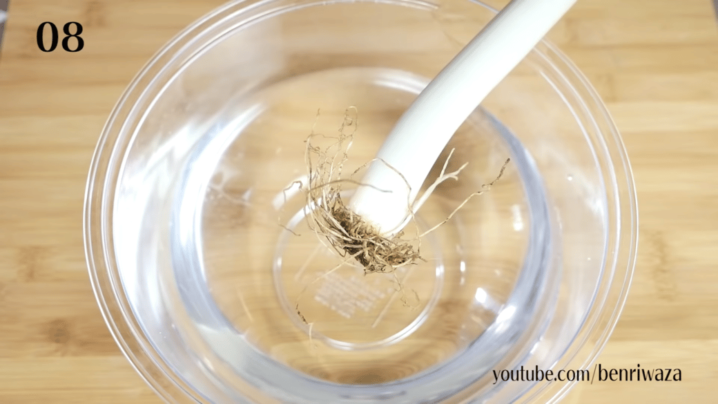 土づくりから手入れの方法まで！ネギ栽培のコツ人気野菜の育て方Honda耕うん機