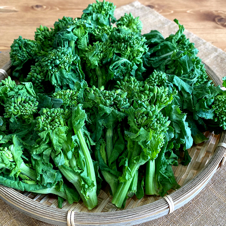 花・野菜の土 20L用土・肥料 通販ホームセンターのカインズ
