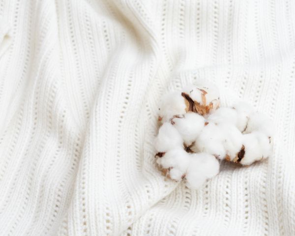 天竺編みとは?生地の特徴やお手入れ方法、おすすめアイテムまとめ!オリジナルTシャツのUP-T