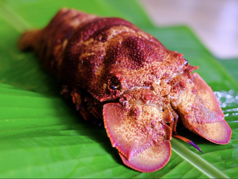 感動するほど美味しかった「海老料理」まとめ 13選食べログまとめ