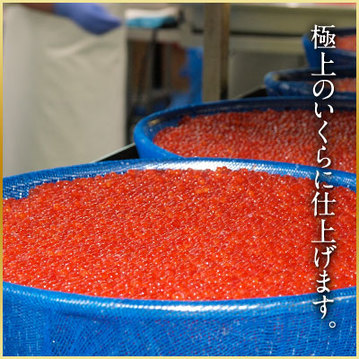 いくら漬けを超簡単に筋子から手作り *白だし*常備菜*作り置き 10分～20分