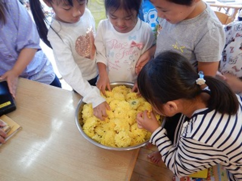 たんぽぽの花 食用菊とは すこし違うらしい 風邪 おべんきょうその06はた坊のブログ 家庭菜園を始めて21年目に 菜園に専念に なりました -楽天ブログ