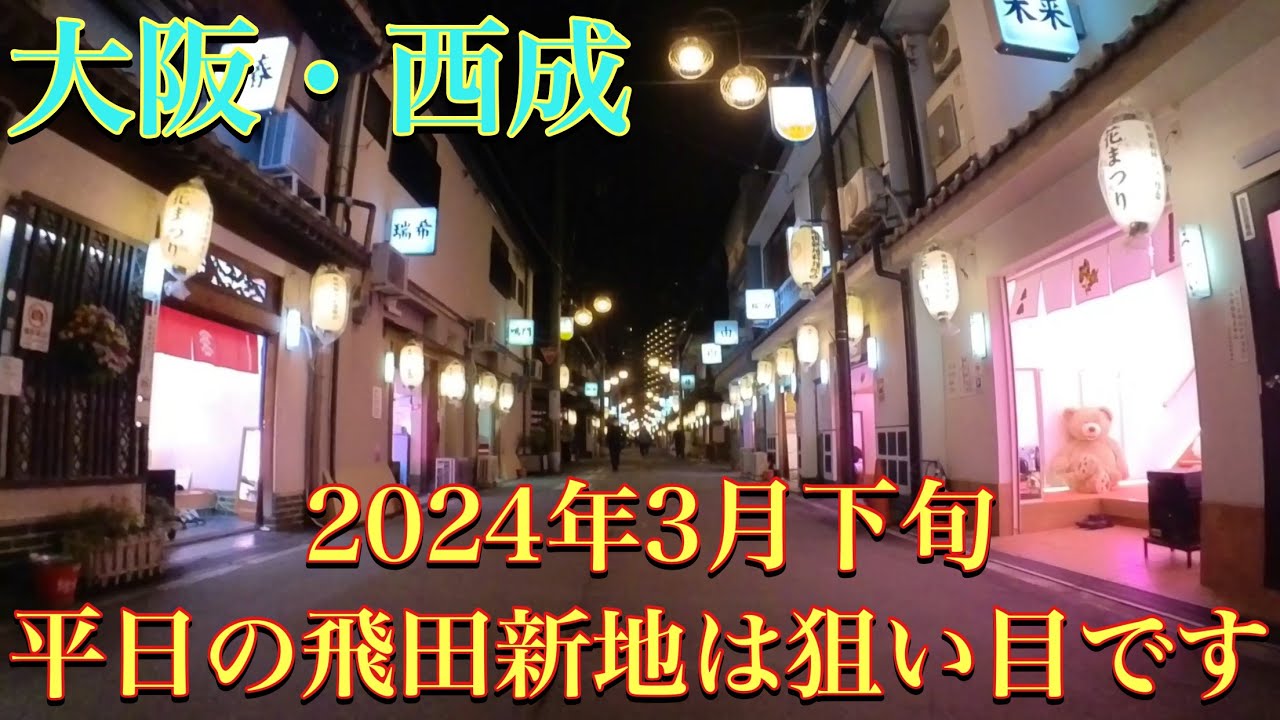 飛田新地の風俗体験談(ガチ)。値段・営業時間・S級美女の遊び方まとめ | モテサーフィン