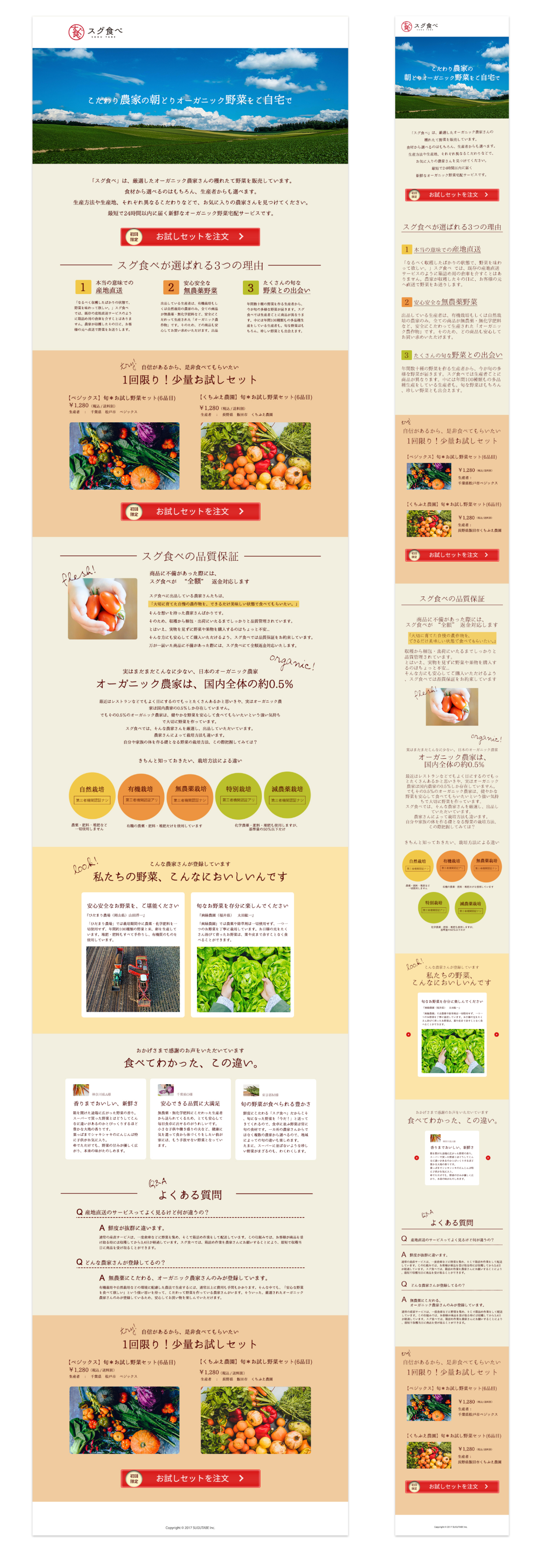 lienAyuka Suzuki portfolio