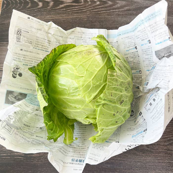 長持ちのコツ☆半分キャベツの冷蔵庫保存