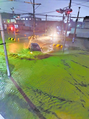 高校生「核廃絶」実現訴え 延岡で署名活動|47NEWS（よんななニュース）