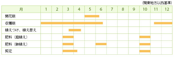 デコポンの旬はいつ？収穫時期や食べ頃をチェック！おすすめの食べ方4選も - macaroni
