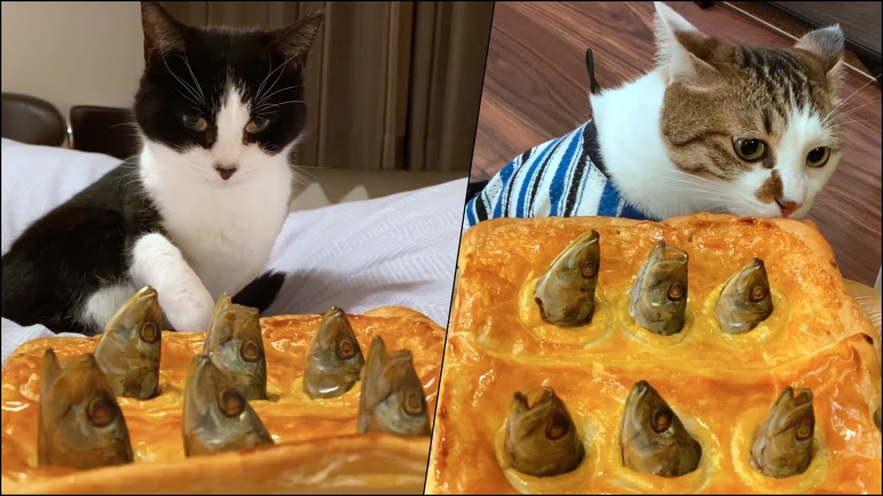 勢いあまってスターゲイジーパイ作ってみた。浮島 夕景