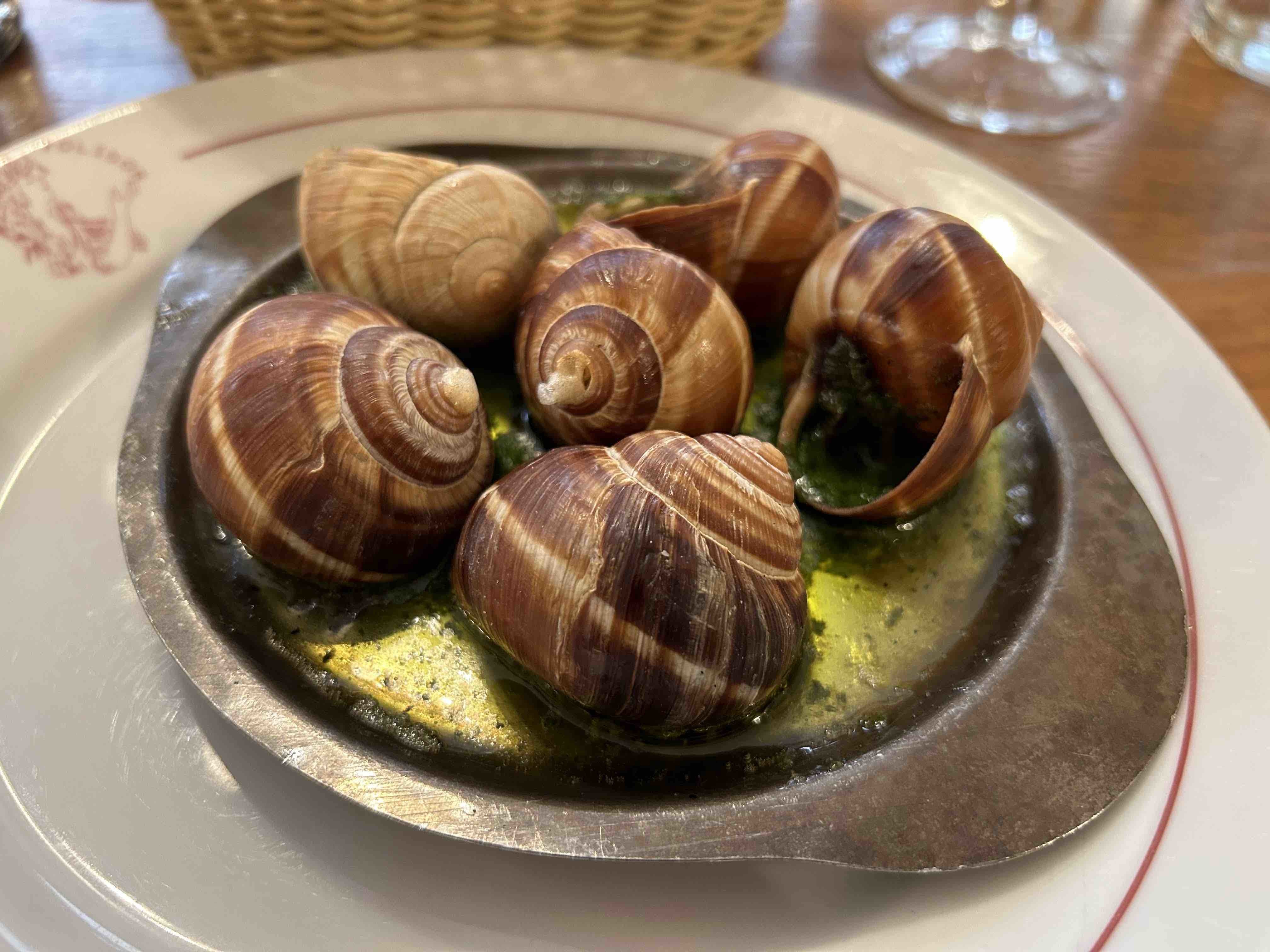 最高品質のオランダのエスカルゴポートフォリオ・オランダニュース