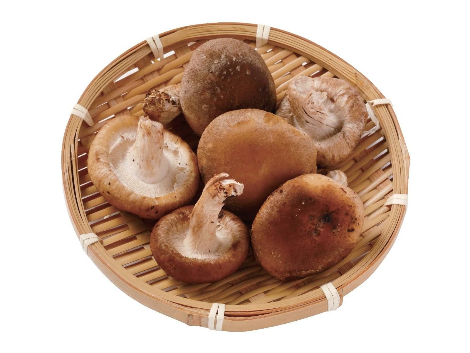 楽天市場肉厚ジューシー！！！椎茸 800g 菌床栽培 無農薬 極上 特選 生椎茸 しいたけ 第146回 第147回 秋田県種苗交換会 椎茸三等賞受賞連続受賞 多くのスーパーや飲食店で取り扱っていただいている商品です！ : みずほガーデン 楽天市場店