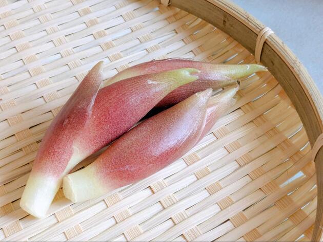 みょうがのNG やってたら今やめよう!みょうがのNG行動! 菅智香- エキスパート - Yahoo!ニュース