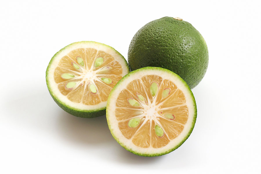 旬の食材を食べよう～夏野菜～ウェルネスケア・プラス